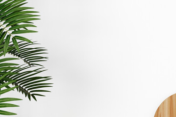 palm leaves background, white background, 3d render