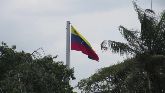 Venezuela flag