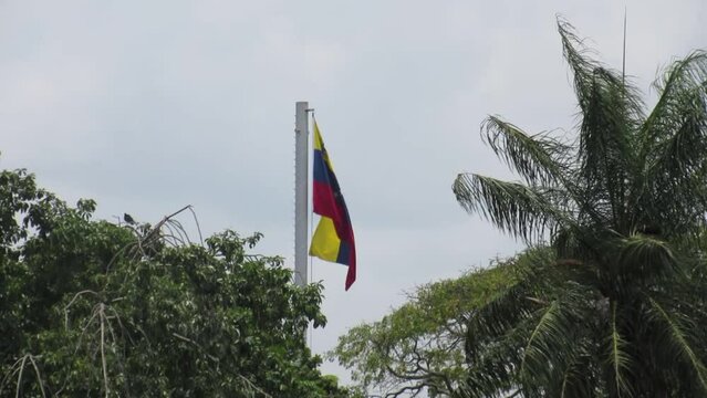 Venezuela flag