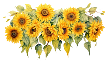 PNG Sunflowers nature plant leaf.