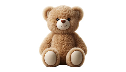 Obraz premium teddy bear isolated on white background 