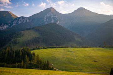 piękna wiosenna panorama Tatr z górskimi halami na pierwszym tle  © piotr