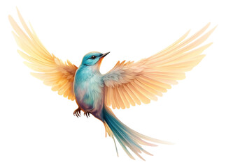 Obraz premium PNG Bird flying animal hummingbird wildlife.