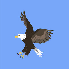 American bald eagle in flight. Isolated vector illustration.