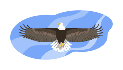 Eagle in flight vector illustration