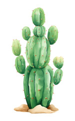 PNG Cactus in desert plant green white background.