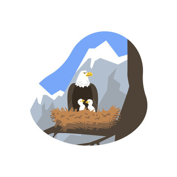 Large wild eagle sitting in nest with chicks flat style, vector illustration
