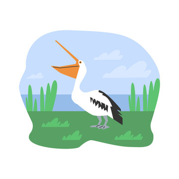 recommend clip art: Vector flat illustration of a charming pelican with an open beak on a background of sky and lake
