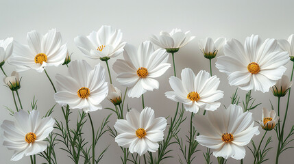 White Daisy Ensemble: Vector Artistry Showcasing the Pure Elegance of Each Blossom, Arranged in a Bouquet Against a Pristine White Backdrop.