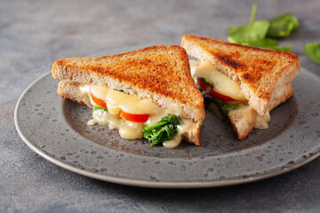 grilled cheese and tomato sandwich on white background