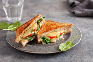 grilled cheese and tomato sandwich on white background