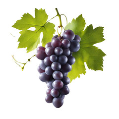 Fototapeta premium Grape. Generative AI