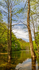 Fresh green forest and Naganuma / Aomori / Tsuta Onsen  / hiking / spectacular view