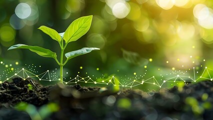 ESG investment concept with nature background and infographic promoting sustainable business. Concept ESG Investment, Nature Background, Sustainable Business, Infographic, Sustainable Practices