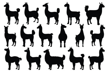 Set of Llama black Silhouette Design with white Background and Vector Illustration