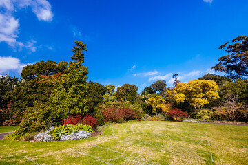Royal Botanic Gardens in Melbourne Australia