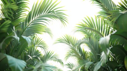 A lush green forest with palm trees and leaves