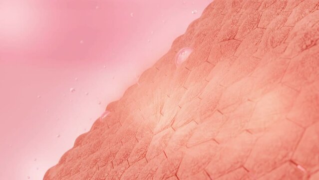 Collagen bubbles in pink color through to the dark and dry skin layer, drop to cells, making skin bright and smooth. Stock ready for product of skincare with 3d rendered