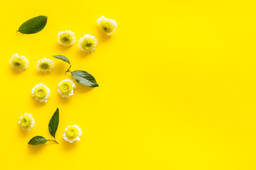 Floral background - pattern of white and yellow chamomile flowers, top view