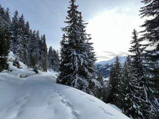 Wonderful winter hiking trails and traces after the winter snowfall above the tourist resorts of Valbella and Lenzerheide in the Swiss Alps - Canton of Grisons, Switzerland (Schweiz)