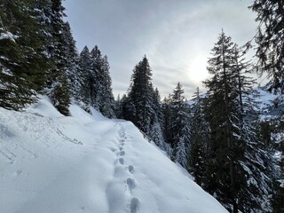 Wonderful winter hiking trails and traces after the winter snowfall above the tourist resorts of Valbella and Lenzerheide in the Swiss Alps - Canton of Grisons, Switzerland (Schweiz)