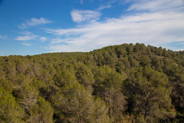 Fototapeta premium Tarragona - Acueducto de Ferreres o Puente del Diablo y entorno