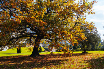 Shrine of Remembrance in Melbourne Australia