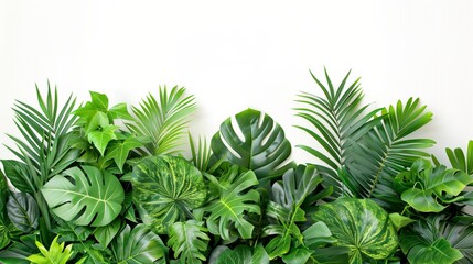 Lush Tropical Houseplants Collection..