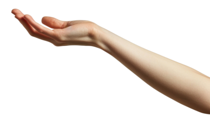 PNG Hand holding finger adult gesturing.