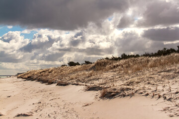 The beauty of the natural beaches on the Baltic Sea.