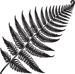 fern leaf isolated on black desain and white begraund