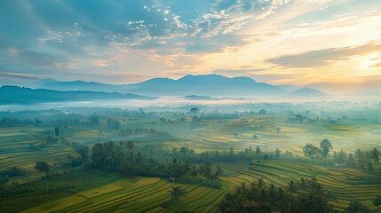 A panoramic view of a rural countryside with rice fields stretching into the distance, illuminated by the soft light of the setting sun.