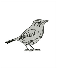 Fototapeta premium Wren Bird Victor Design