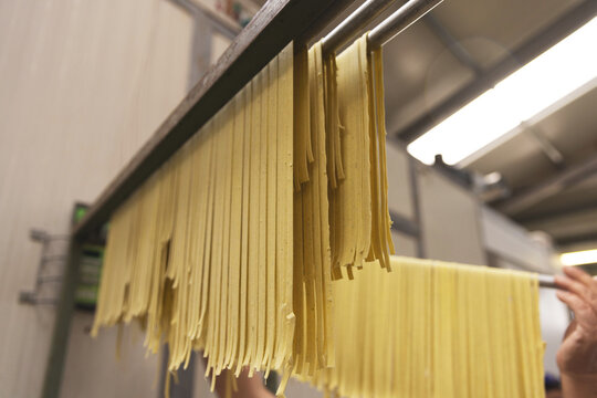 Tagliatelle pasta hanging to dry - Powered by Adobe