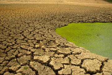 In summer, the ground often cracks because of drought.