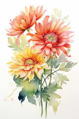 Graceful watercolor painting of Chrysanthemum and Yellow Gerbera Daisies, symbolizing friendship, with soft red petals and green leaves ,  fresh and clean look