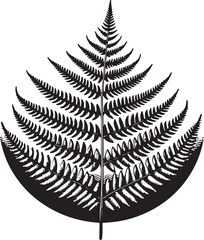 fern leaf isolated on black desain and white begraund