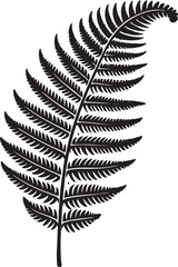 fern leaf isolated on black desain and white begraund