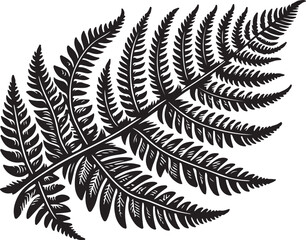 fern leaf isolated on black desain and white begraund