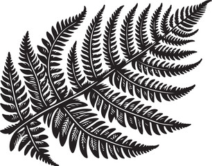 Naklejka premium fern leaf isolated on black desain and white begraund
