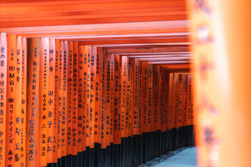 Kyoto Fushimi Inari Japanese Red Torii Gates