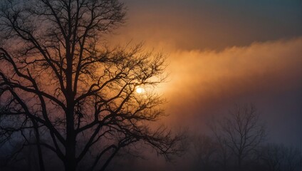 Witness nature's painting, sunset streaks piercing through dense fog, casting an ethereal glow and adding mystique to the evening sky.