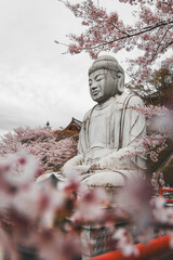 statue of buddha in blossom Japan