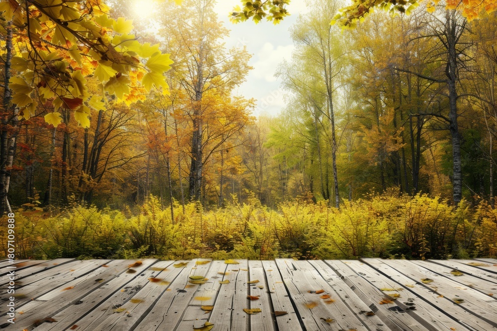 Wall mural beautiful sunlight in the autumn forest. beauty nature background