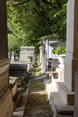 old cemetery in the city