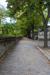 old cemetery in the city