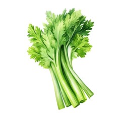 Celery