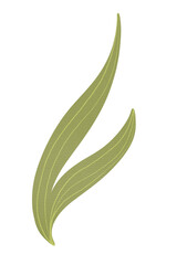 Obraz premium Green leaves textured effect, isolated on white background. Hand drawn digital illustration by watercolor brushes. For sticker, greeting card, print, any DIY.
