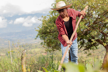 lifestyle: young latin farmer uses hoe to till the land