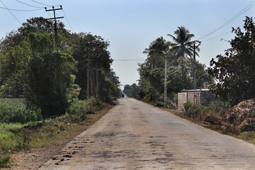 This Photo captured in indian small village and rural areas in Gujarat India. horizontal road, farm...
